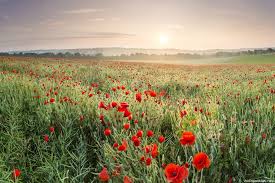 Explore the most beautiful countryside in england and top prettiest villages in england: Historic Southern England Explorer Canterbury Kent Cornwall Isle Of Wight Oxford 10 Days Kimkim