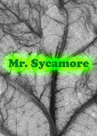 Mr. Sycamore (1975) DVD — J4HI
