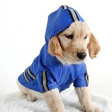Fashion Shop Dog Reflective Rain Jacket With Hood Pet Puppy Lightweight Dust Coat Review More Details Here Puppies Raincoat Raincoat Outfit