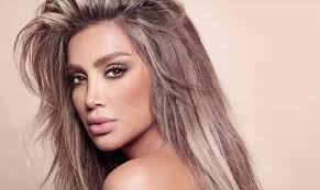 Maya Diab Appeals Bin Salman Through Twitter