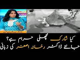 Facebook is showing information to help you better understand the purpose of a page. Is Shark Meat Halal To Eat Youtube