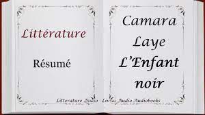 Follow these 5 proven tips, and you will interest any employer. Camara Laye L Enfant Noir Resume Lecture Violinne Youtube