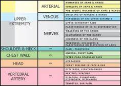 100 Thoracic Outlet Syndrome Tos Ideas Thoracic Syndrome Fibromyalgia