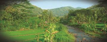 Mendapati mimpi dalam tidur kita memang wajar dialami oleh manusia, mengingat bahwa mimpi bisa hadir kapan saja bahkan saat kita tidur. Kode Unik Penjual Jamu Gendong Yudhi Pri