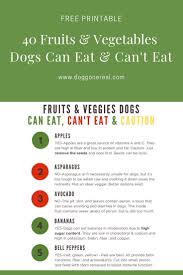 Feeding your dog food that is rich in dietary fiber like vegetables can combat and prevent constipation and diarrhea. Free Printable 40 Fruits And Vegetables Dogs Can Eat And Can T Eat Fruitsandvegetablesfordogs Realfood Foods Dogs Cant Have Fruits For Dogs Can Dogs Eat