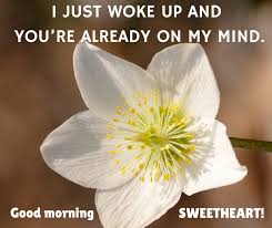 Short good morning text messages for her. 121 Good Morning Love Quotes For Her Give Her Words Of Love Each Morning