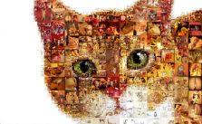 Daun daunan contoh kolase dari daun kering dan ranting4. Tips Dan Cara Membuat Kolase Dengan Berbagai Contoh Gambar