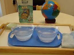 To The Lesson Saltwater Vs Freshwater Experiment Montessori Science Montessori Geography Ocean Science