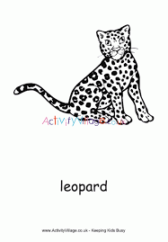 While their spots are among the attributes that make leopards unique among big cats, there are plenty more. Leopard Colouring Page