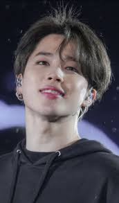 The Fallen Officer's Son