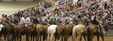 Ranch Rodeo San Antonio Stock Show Rodeo