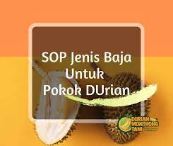 Shop, compare, and save more with biggo! Apa Sop Jenis Baja Yang Perlu Anda Durian Monthong Tani Facebook