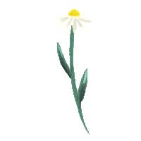Maybe you would like to learn more about one of these? Virtual Bouquet Sticker By Hello Flowers For Ios Android Giphy