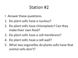 Animal cell and plant cell questions. Station 1 Animal Cells Are Found In All Members Of The Animal Kingdom Including Humans All Animal Cells Are Eukaryotic Meaning That They Have A Nucleus Ppt Download