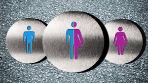 Er Sie Die Genderfrage Im Rechtschreibrat Archiv