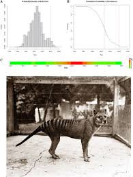 A blog dedicated to the thylacine or tasmanian tiger (thylacinus cynocephalus), the largest carnivorous marsupial to survive into historic times. Extinction Of The Thylacine Biorxiv