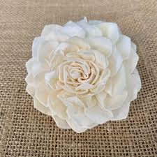 We did not find results for: Sola Flowers Luv My Flowers Wholesale