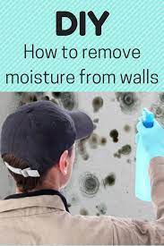 How To Remove Fix Moisture In Walls 10 Important Tips Mold Inspection Mold Remover How To Remove