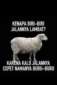 Check spelling or type a new query. 460 Quotes Funny Indonesia Ideas In 2021 Funny Quotes Funny Quotes