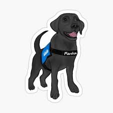 Diy shaker doors + ikea kitchen cabinets. Dog Club Gifts Merchandise Redbubble