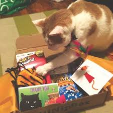 From healthy dog treats to durable toys, these subscription boxes for dogs deliver fun surprises every month! Kitnipbox Fur Kids Foundation