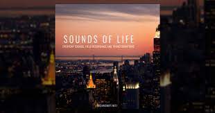 I hope this 11 hours of ocean sounds will help you find relaxation. Sounds Of Life Ocean Swift Synthesis Free Sample Packs