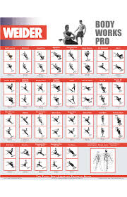 59 Rare Weider Exercise Chart