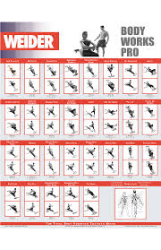 59 rare weider exercise chart