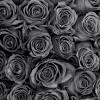 Traditional and modern floral prints for bedrooms, living rooms, and kitchens. 3