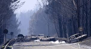 We did not find results for: Pedrogao Grande Depois Dos Incendios Do Verao Passado Chegam As Startups Noticias De Viseu