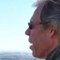 PDF) From Hospitals to Villages: population health, medical services and  disease control in former Portuguese Africa