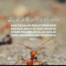 This is a book whose verses are well perfected and then fully explained. Fadzilimesah Surah Hud Ayat 6 Yang Bermaksud Dan Facebook