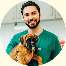 We did not find results for: Clarendon Animal Care Vet Clinic Animal Hospital North South Arlington Va