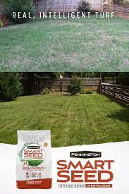 Pennington Smart Seed Bermudagrass Video In 2021 Lawn Care Garden Solutions Lawn And Landscape