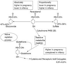 Clinical Pharmacology Of Intravenous Paracetamol In