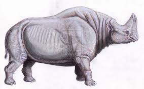 Dibgd S Deviantart Gallery Prehistoric Animals Extinct Animals Pet Birds