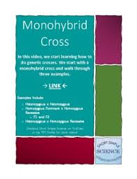 Monhybrid mice assignment biology / monohybrid mice worksheet answer key page 1 line 17qq com / a cross between individuals that involves one pair of contrasting traits is called a monohybrid cross. Monohybrids Worksheets Teaching Resources Teachers Pay Teachers