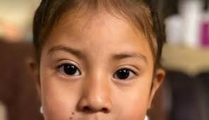 Un muñequito y un audio llevaron a Daniel Pintado al oro panamericano