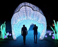 The jardin des plantes (french for garden of the plants), also known as the jardin des plantes de paris (french: Oceans En Voie D Illumination Une Expo Qui A De La Gueule