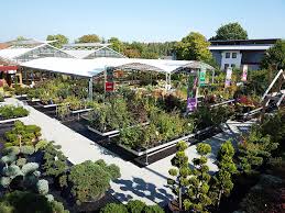 Auf garten.center möchten wir sie einladen, ihren garten neu kennen zu lernen und dessen möglichkeiten voll auszuschöpfen. Gartencenter Bornemann Facebook
