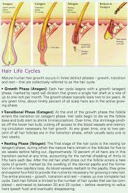 Reverse hair loss with a natural dht blocker shampoo. Reversing Age Related Hair Loss And Restoring Healthy Hair Growth In Men And Women Nutrition Review