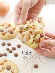 Cookies Aux Pepites De Chocolat Au Lait Et Caramel Feerie Cake Cookies Pepite Chocolat Pepite Chocolat Chocolat Au Lait