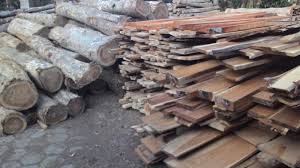 Kayu jati yang dikenal sebagai kayu kelas kuat i dan kelas awet ii memang tidak perlu diragukan lagi kualitasnya. Duta Rimba Indonesia Harga Kayu Nangka