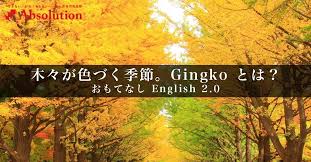 木々が色づく季節 Gingko とは アブソブログ 東京秋葉原 御茶ノ水 日本橋 御徒町 上野の初心者専門英語塾