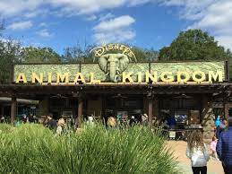 Animal kingdom is an american drama television series developed by jonathan lisco. Animal Kingdom Disney Animal Kingdom Disney S Animal Kingdom Overview Wdwinfo Com