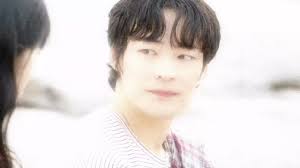 Kim Tae Sung Lovely Runner and Sol