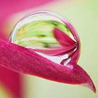 شرح نظم الإعراب عن قواعد الإعراب للسعدي. Ù‚Ø·Ø± Ø§Ù„Ù†Ø¯Ù‰ Home Facebook