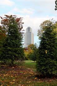 Peak Leaf Peeping Season Is The Perfect Time To Visit Albany County Learn About The Top Spots In Albany County Fall Foliage Largest Waterfall Washington Park
