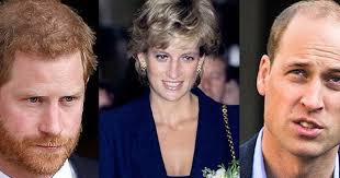 Hoàng tử William cùng em trai Harry đồng loạt lên tiếng chỉ trích cuộc  phỏng vấn gian dối liên quan tới cái chết của Công nương Diana