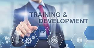 Training & Development